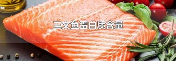 三文鱼蛋白质含量
