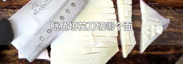 鱿鱼切花刀切哪个面