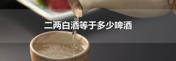 二两白酒等于多少啤酒