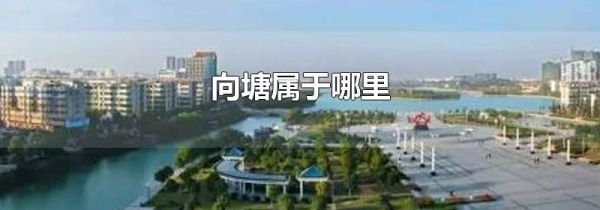 向塘属于哪里
