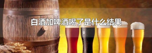 白酒加啤酒喝了是什么结果