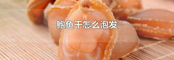 鲍鱼干怎么泡发