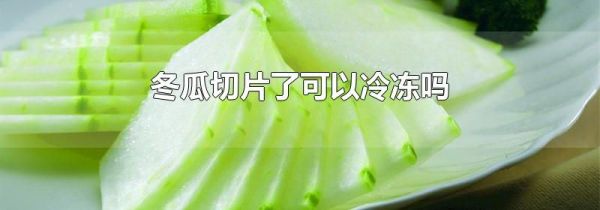 冬瓜切片了可以冷冻吗