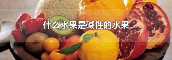 什么水果是碱性的水果