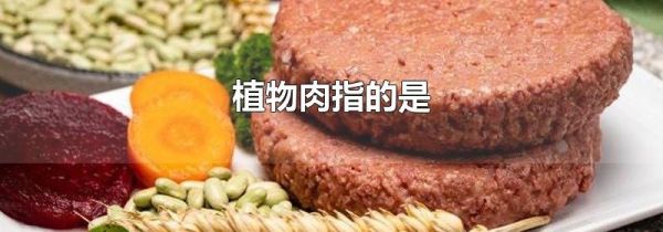 植物肉指的是