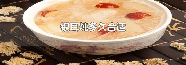 银耳炖多久合适
