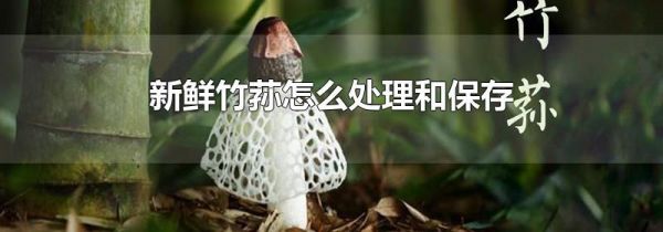 新鲜竹荪怎么处理和保存