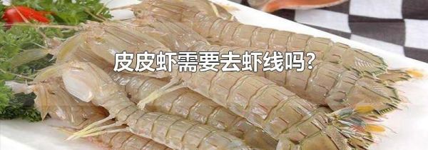 皮皮虾需要去虾线吗?