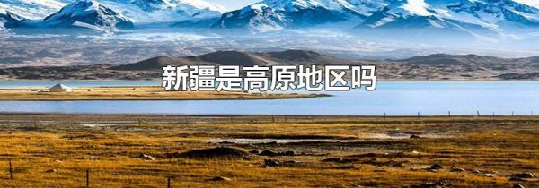 新疆是高原地区吗