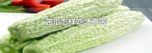 苦瓜怎样吃才不苦