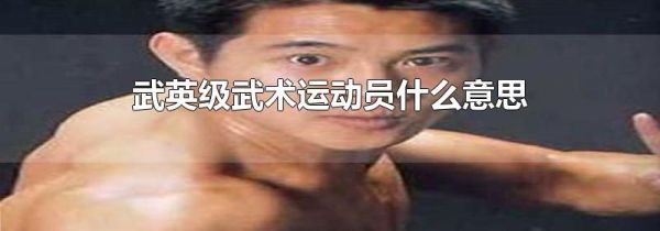 武英级武术运动员什么意思