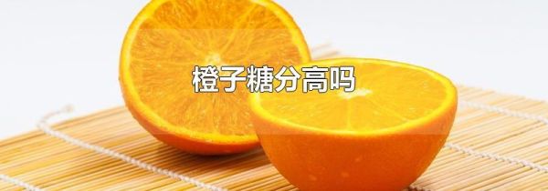 橙子糖分高吗