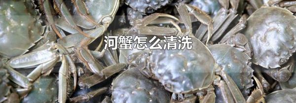 河蟹怎么清洗