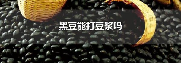 黑豆能打豆浆吗
