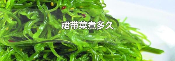 裙带菜煮多久