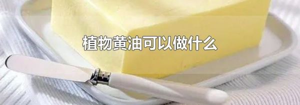 植物黄油可以做什么