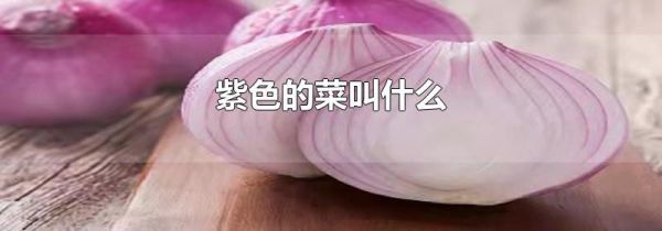 紫色的菜叫什么