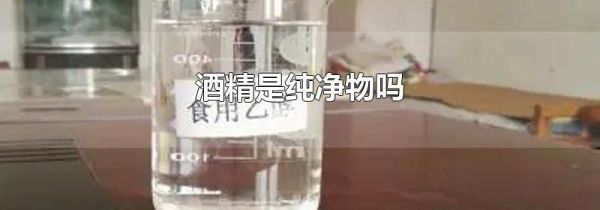 酒精是纯净物吗