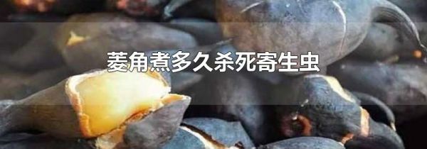 菱角煮多久杀死寄生虫