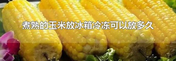 煮熟的玉米放冰箱冷冻可以放多久