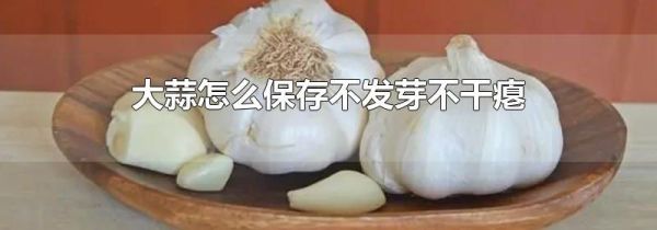 大蒜怎么保存不发芽不干瘪