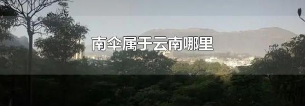 南伞属于云南哪里