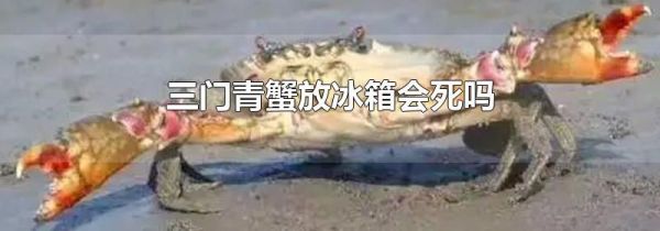 三门青蟹放冰箱会死吗