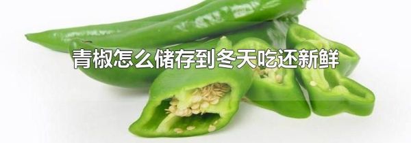 青椒怎么储存到冬天吃还新鲜
