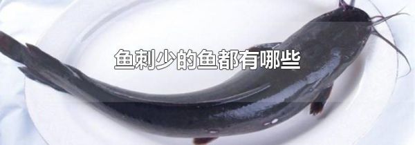 鱼刺少的鱼都有哪些