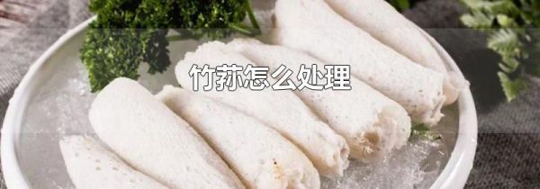竹荪怎么处理