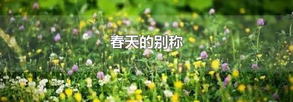 春天的别称