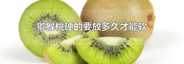 猕猴桃硬的要放多久才能软