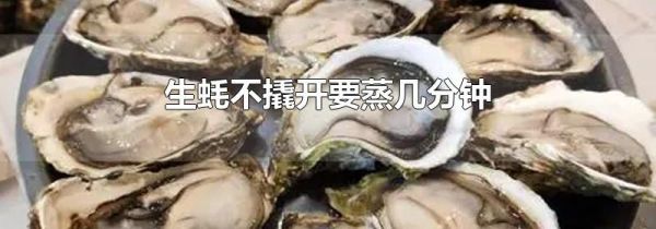 生蚝不撬开要蒸几分钟