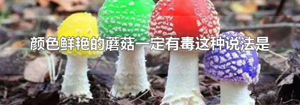 颜色鲜艳的蘑菇一定有毒这种说法是
