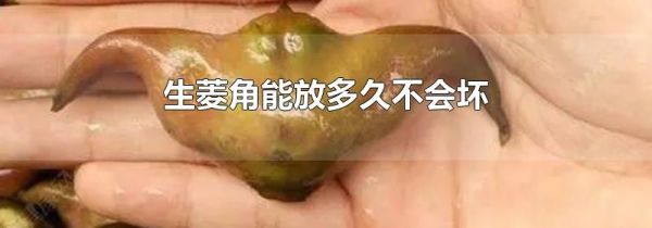 生菱角能放多久不会坏