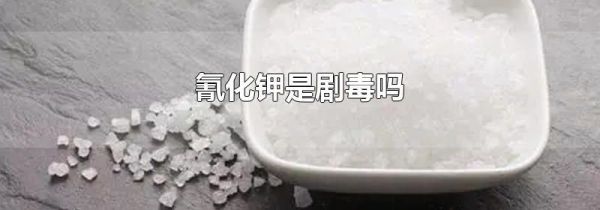 氰化钾是剧毒吗