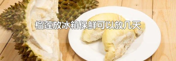 榴莲放冰箱保鲜可以放几天