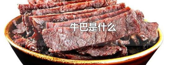 牛巴是什么