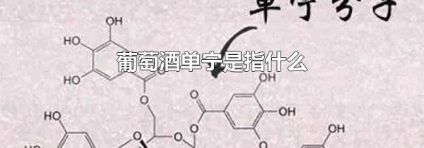 葡萄酒单宁是指什么
