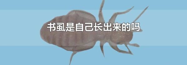 书虱是自己长出来的吗