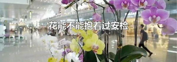 花能不能抱着过安检