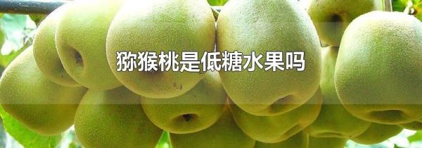 猕猴桃是低糖水果吗