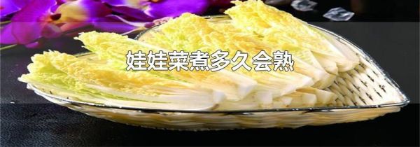 娃娃菜煮多久会熟