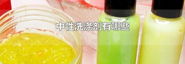 中性洗涤剂有哪些