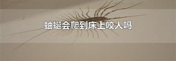 蚰蜒会爬到床上咬人吗