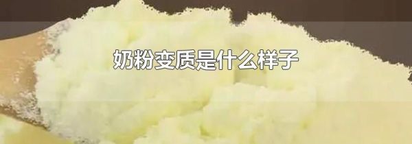 奶粉变质是什么样子