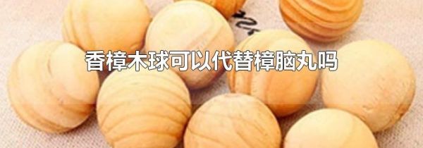 香樟木球可以代替樟脑丸吗