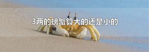 3两的螃蟹算大的还是小的