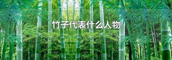 竹子代表什么人物