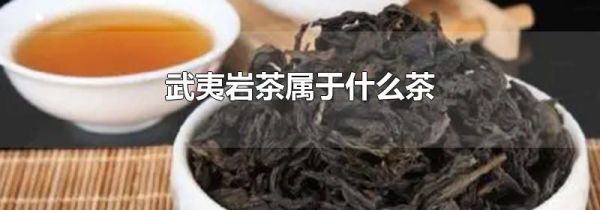 武夷岩茶属于什么茶